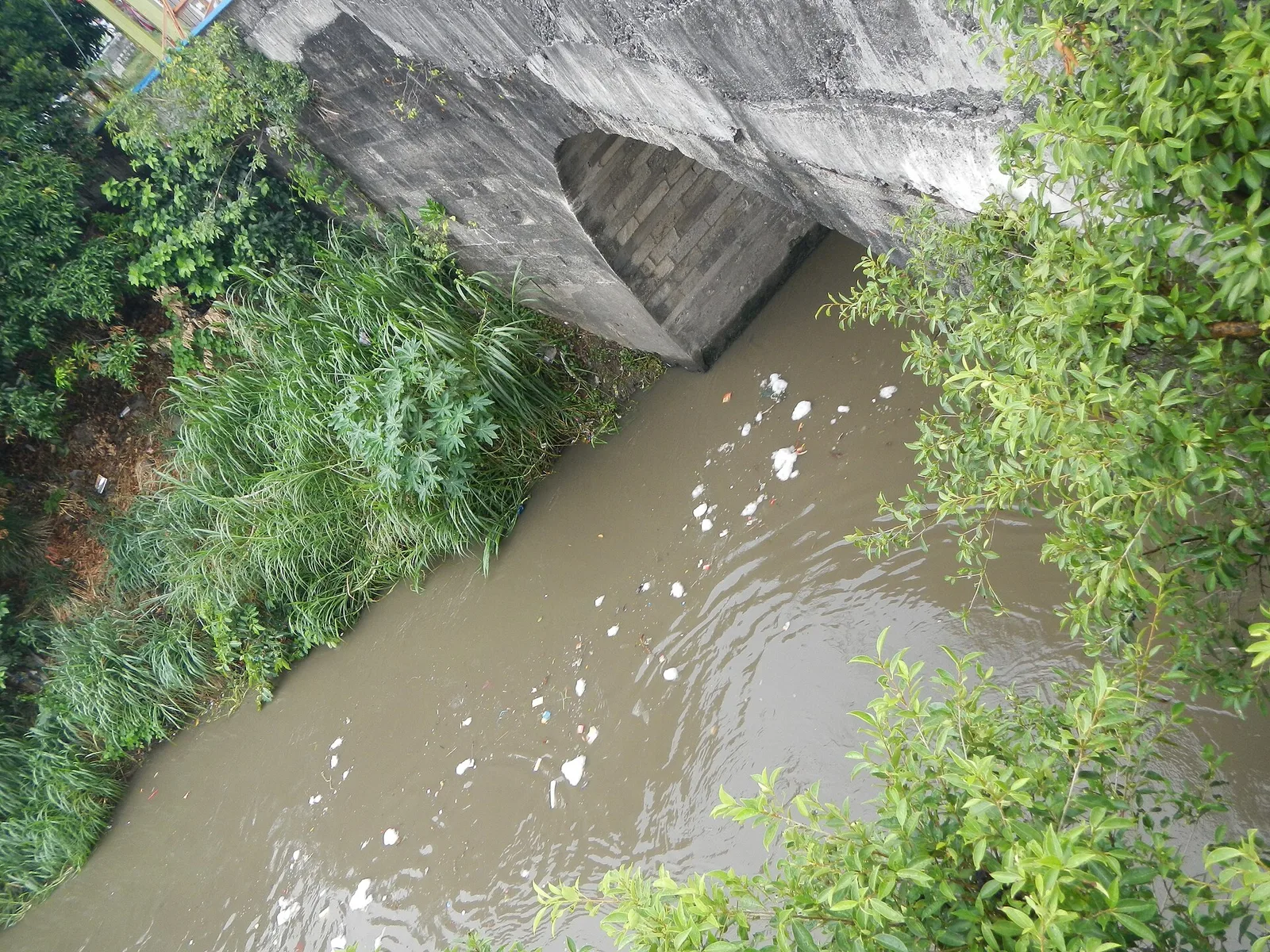 Bridge of Isabel II, photo 2