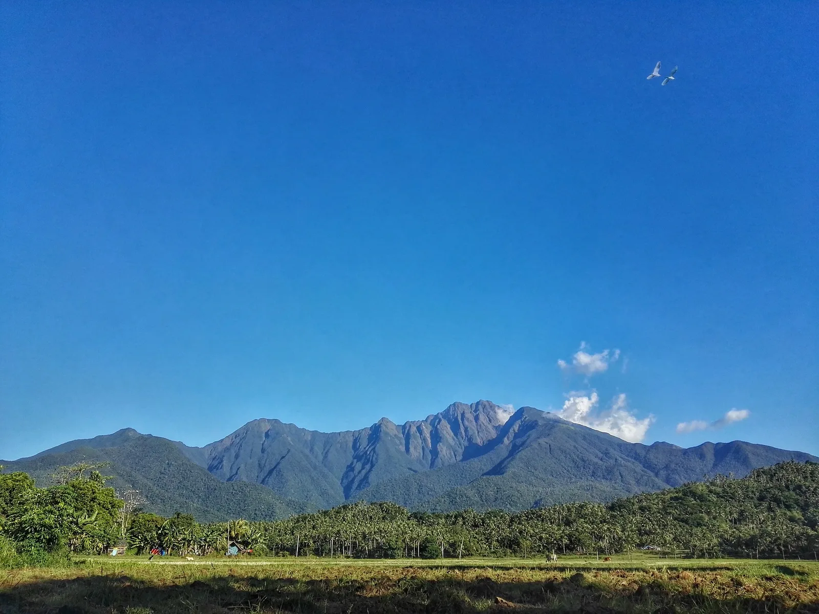 Mount Guiting-Guiting, photo 2
