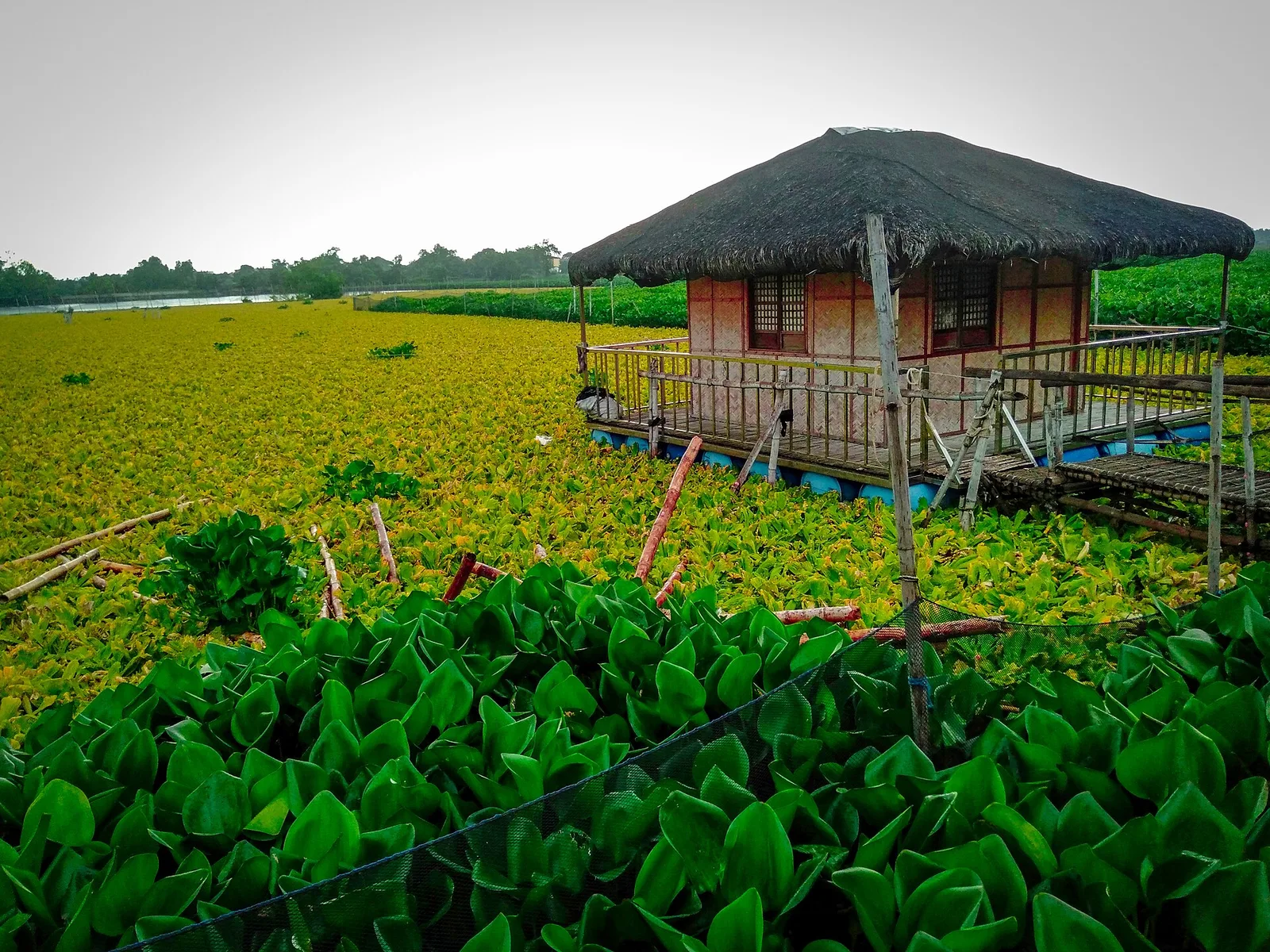 Tagalag Fishing Village, photo 2