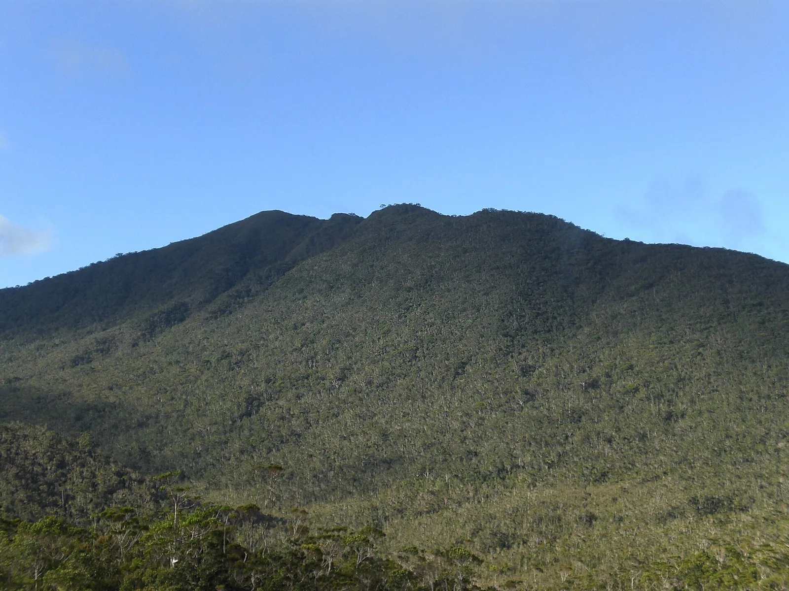 Mount Hamiguitan, photo 2