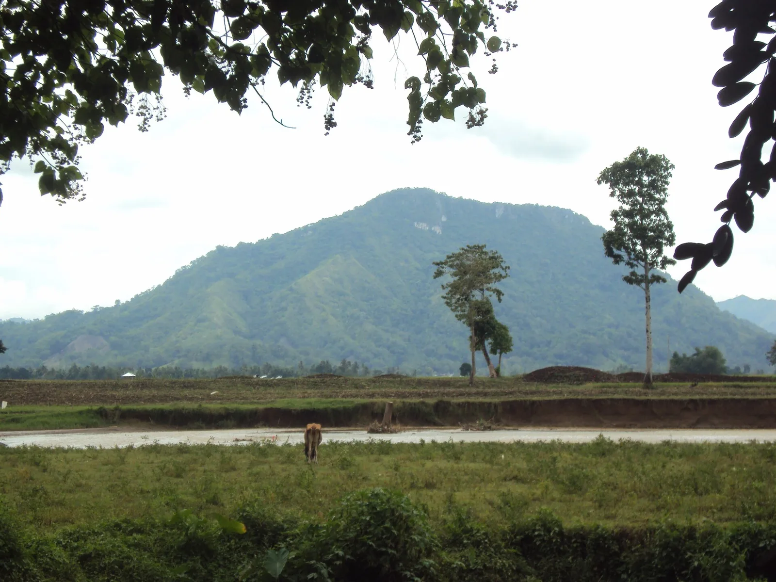Mount Capistrano, photo 2
