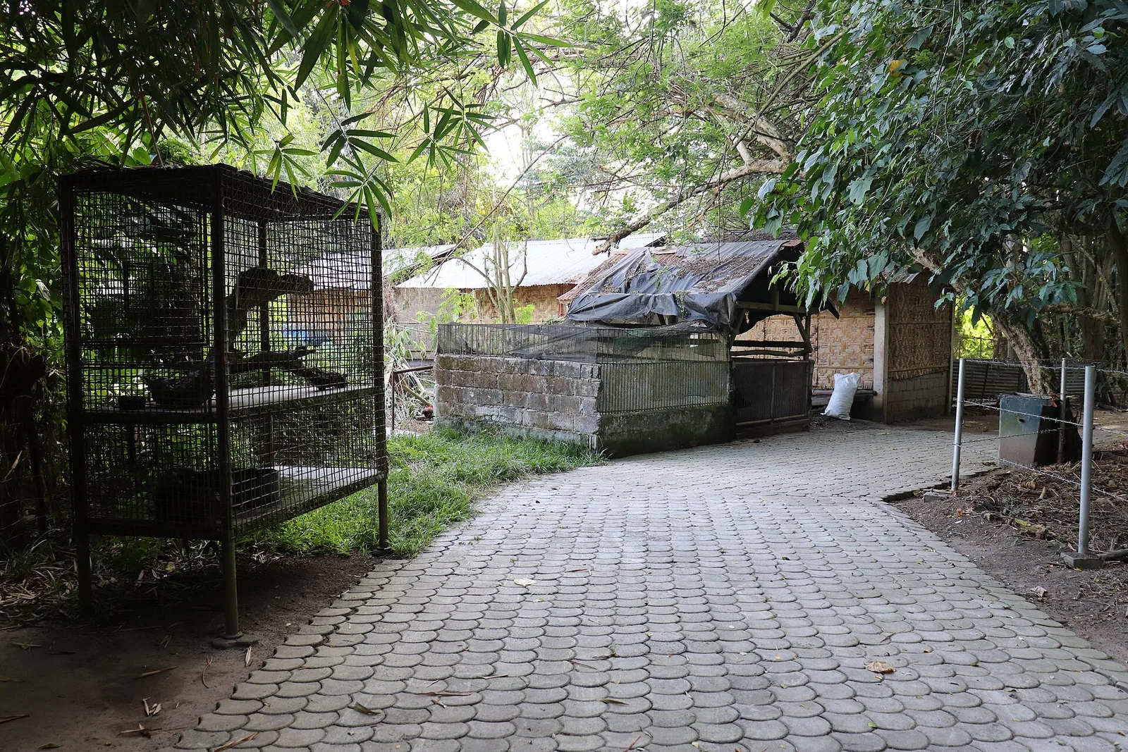 Baras Bird Sanctuary, photo 2
