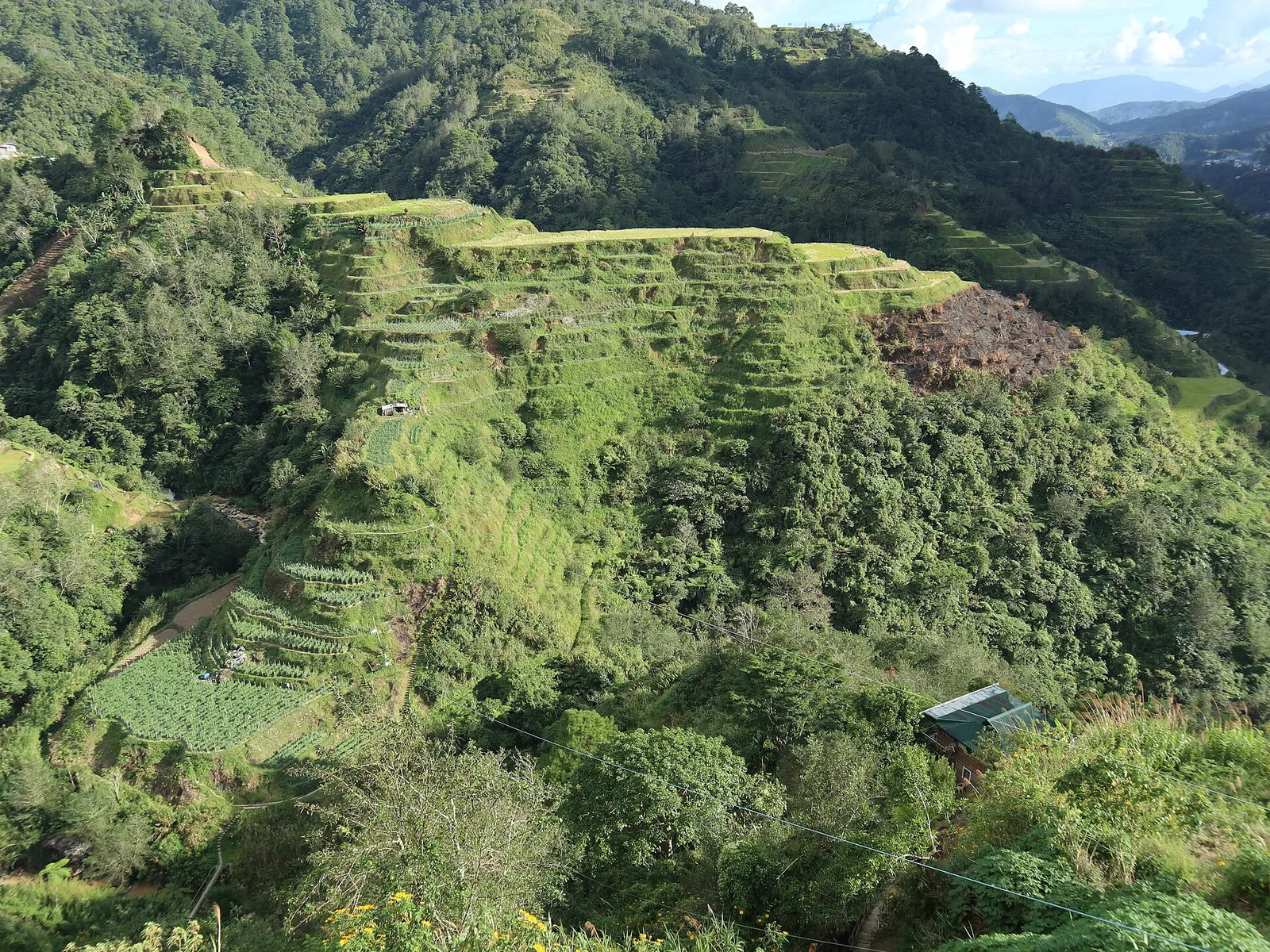Banaue Rice Terraces viewpoints, photo 2