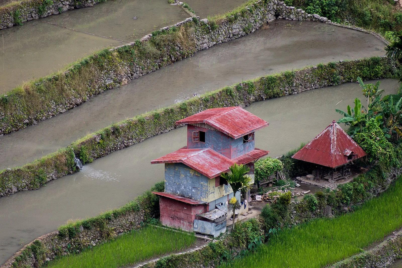 Batad Rice Terraces, photo 2