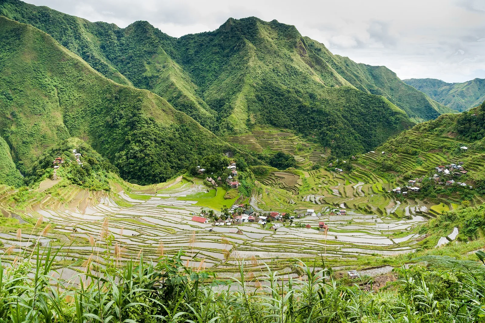 Batad Rice Terraces, photo 3