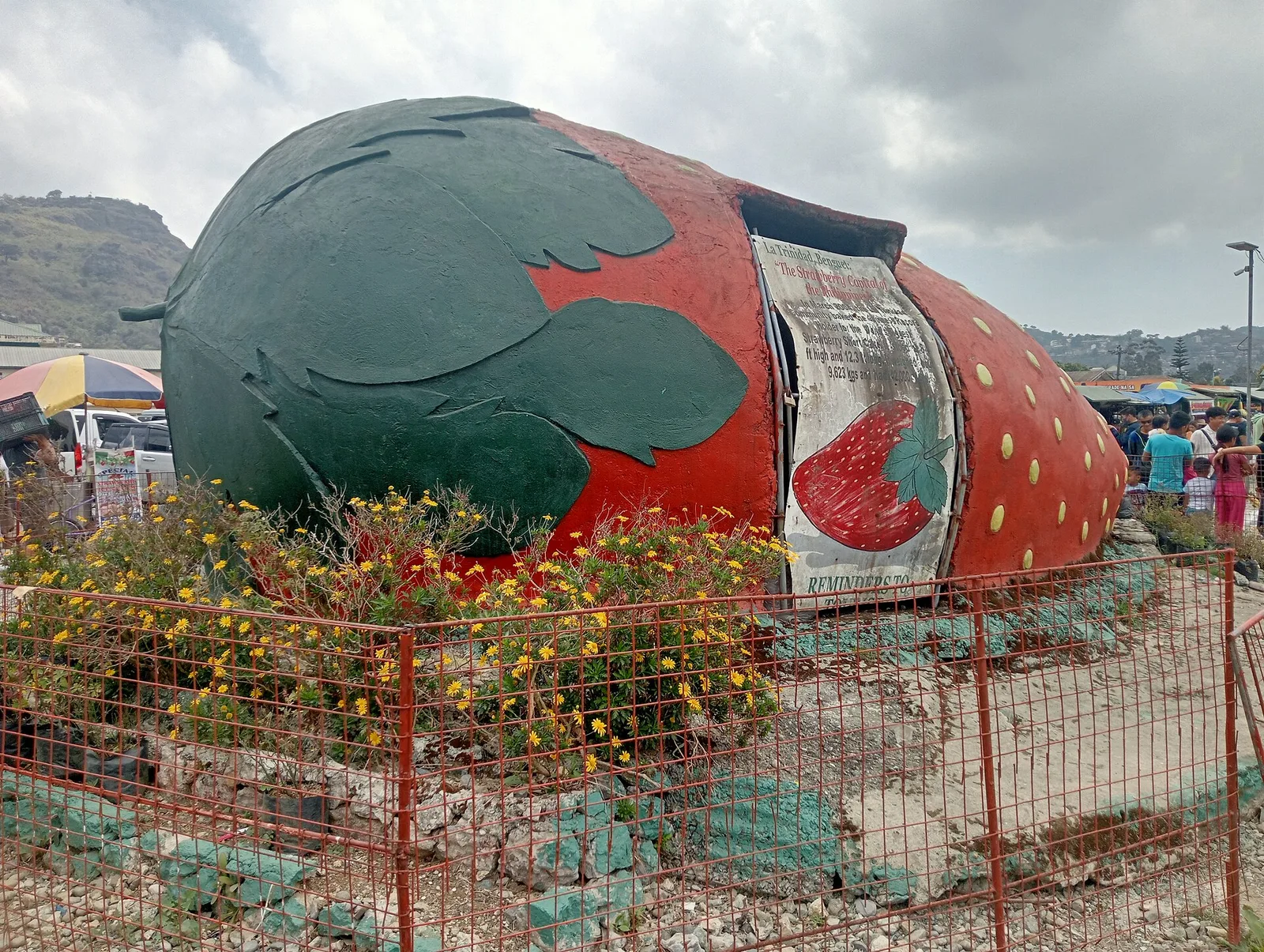 Strawberry Farm, La Trinidad, photo 2