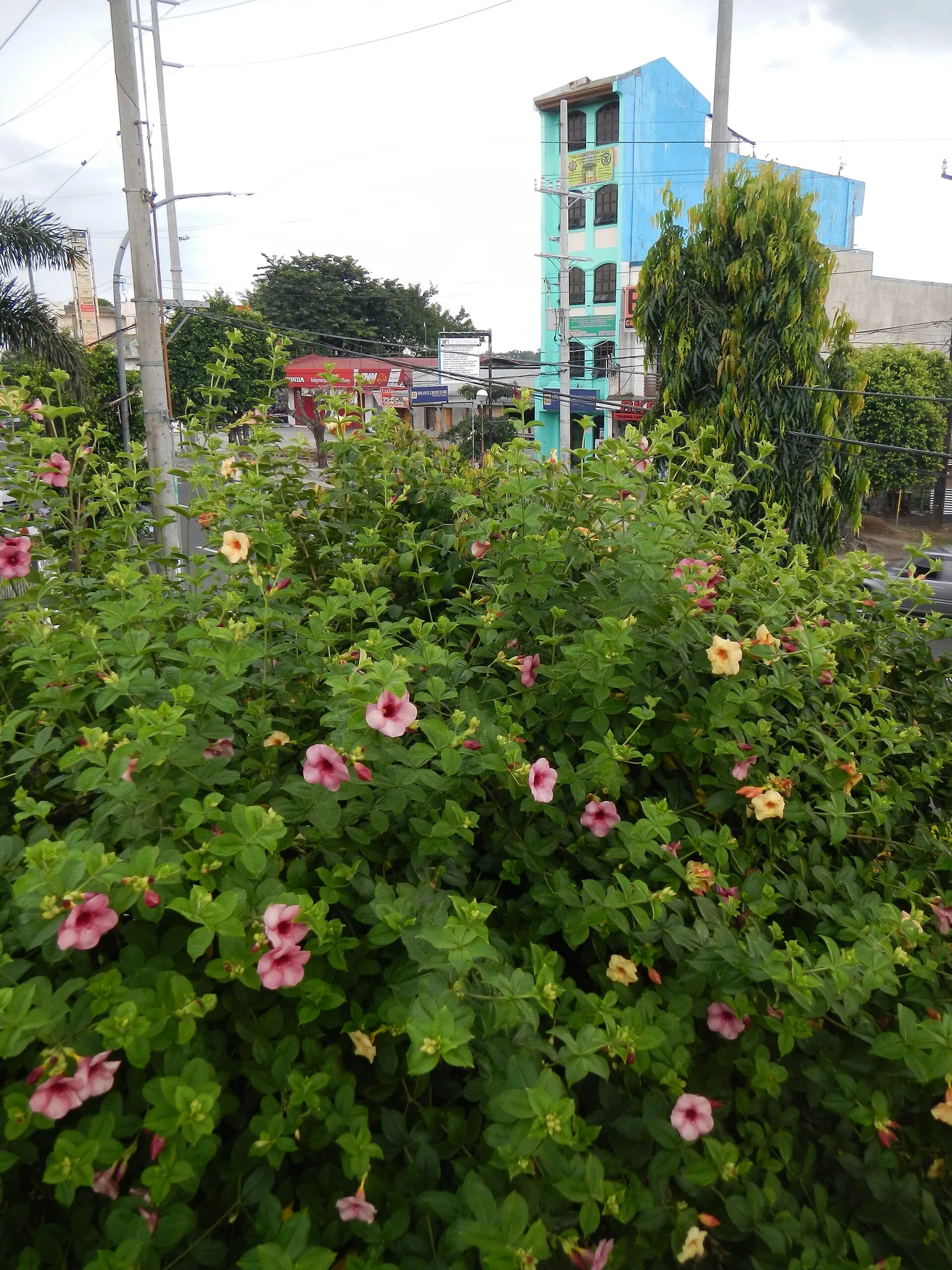 Trece Martires People's Park, photo 2