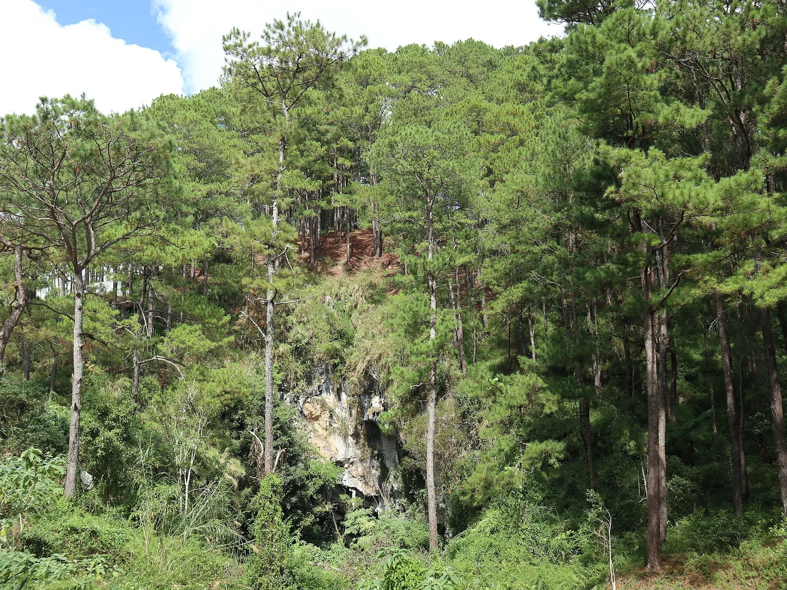 Sumaguing Cave, photo 2