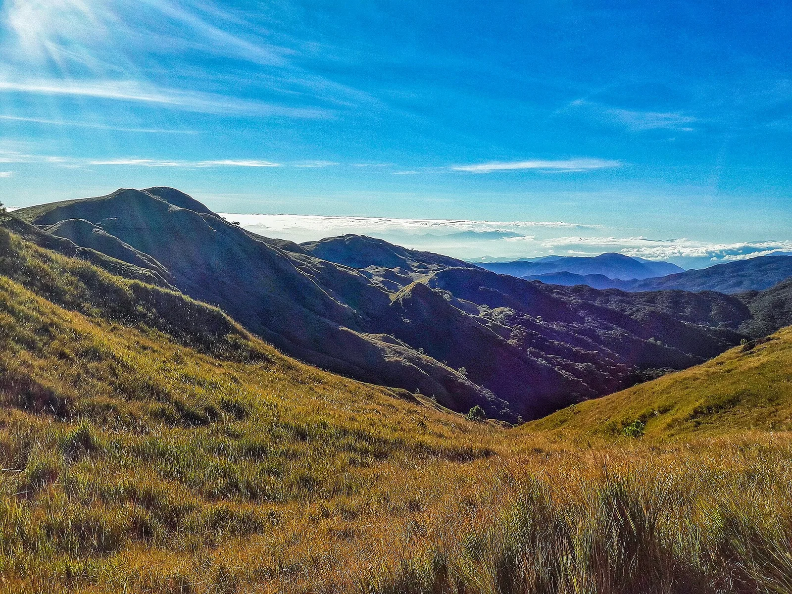 Mount Pulag, photo 2