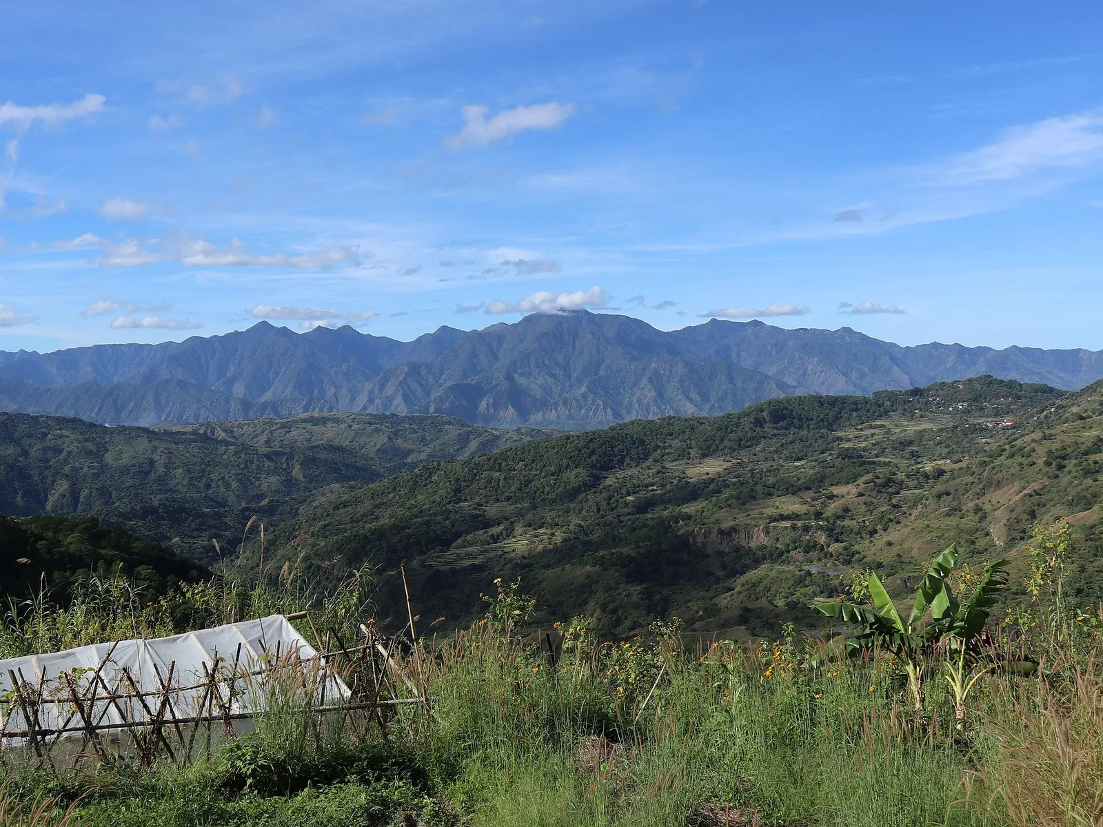 Mount Data, photo 2
