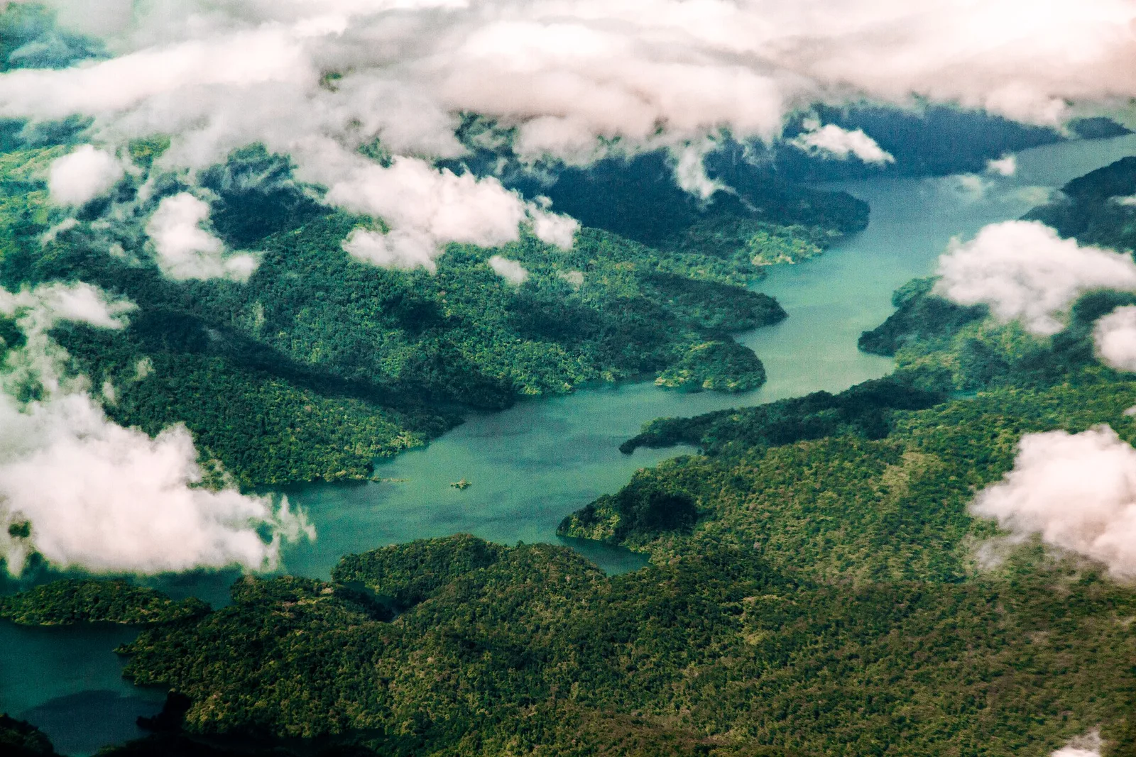 Angat Watershed Forest Reserve, photo 2