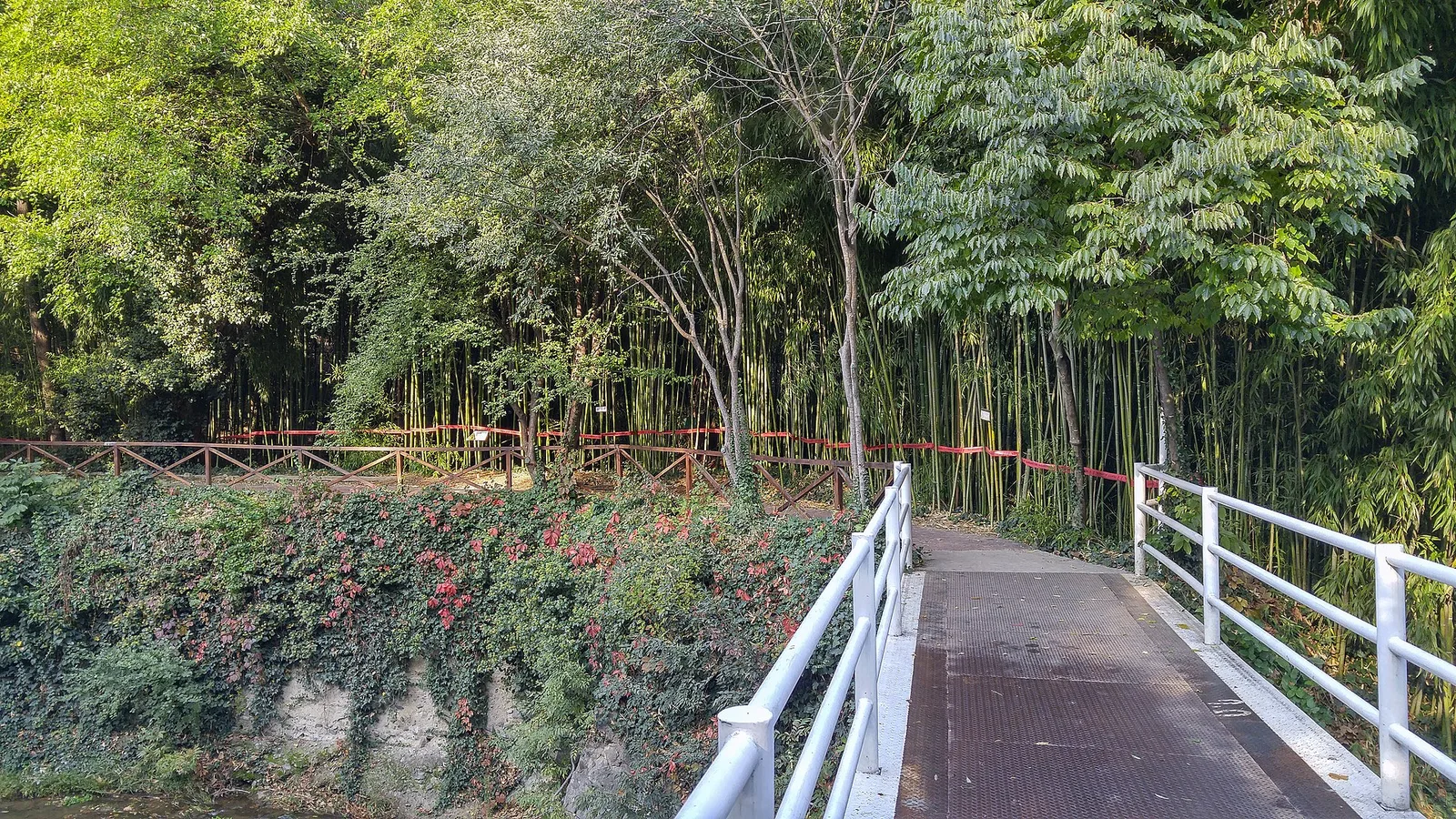 La Union Botanical Garden, photo 3