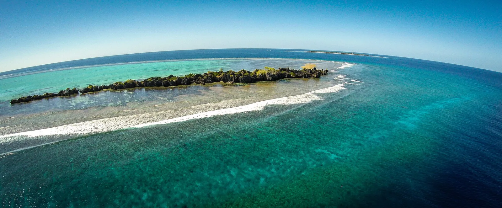Apo Reef Natural Park, photo 2