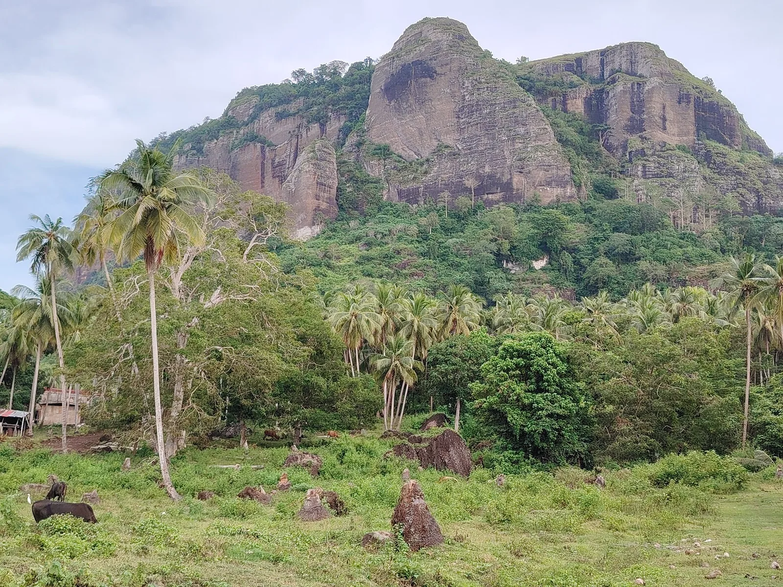 Mount Bongao, photo 3