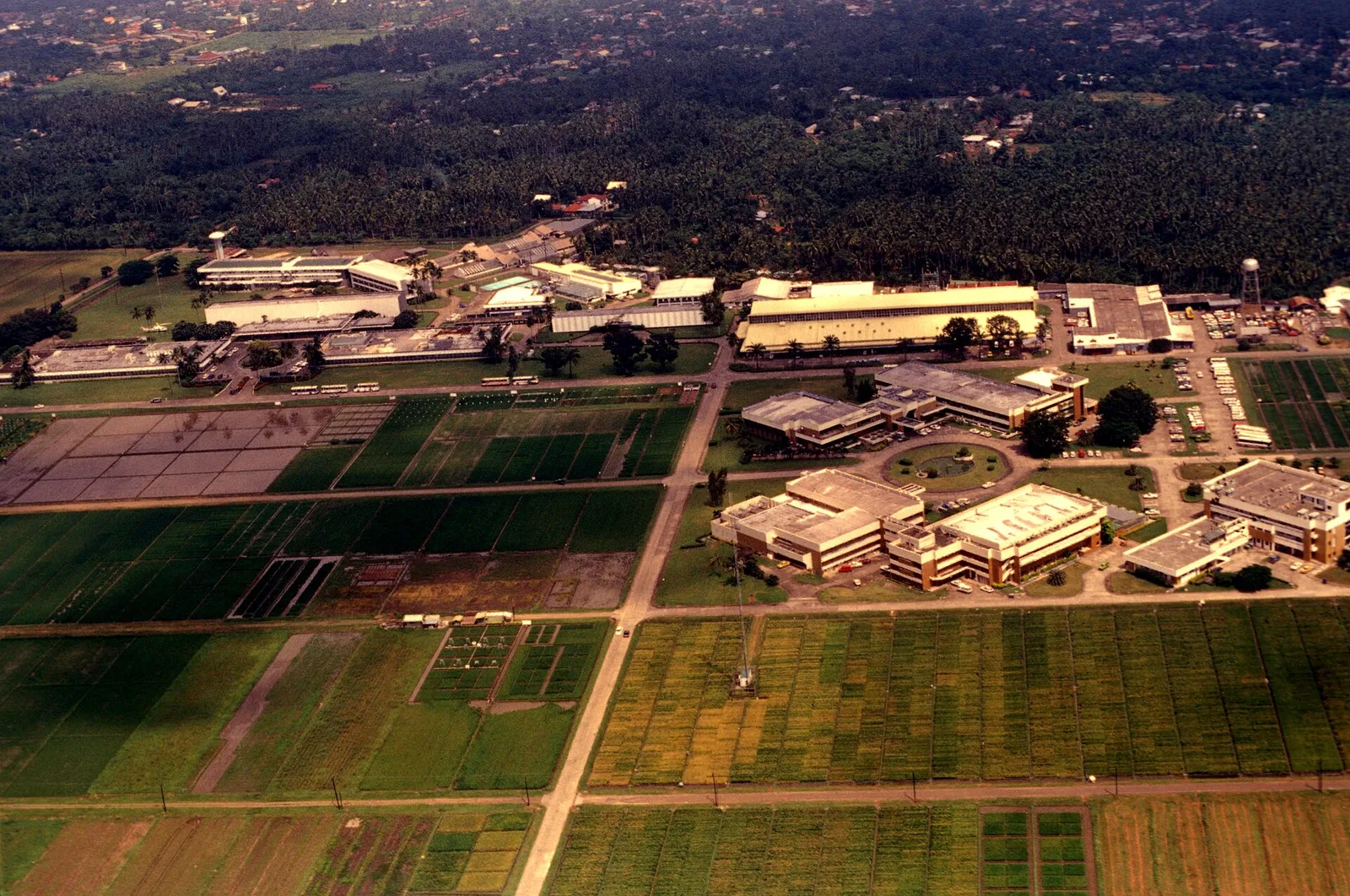 Los Baños in 3 days, photo 6