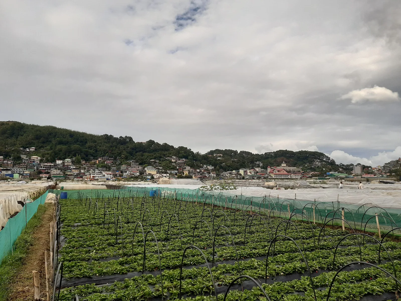 La Trinidad in 2 days, photo 4
