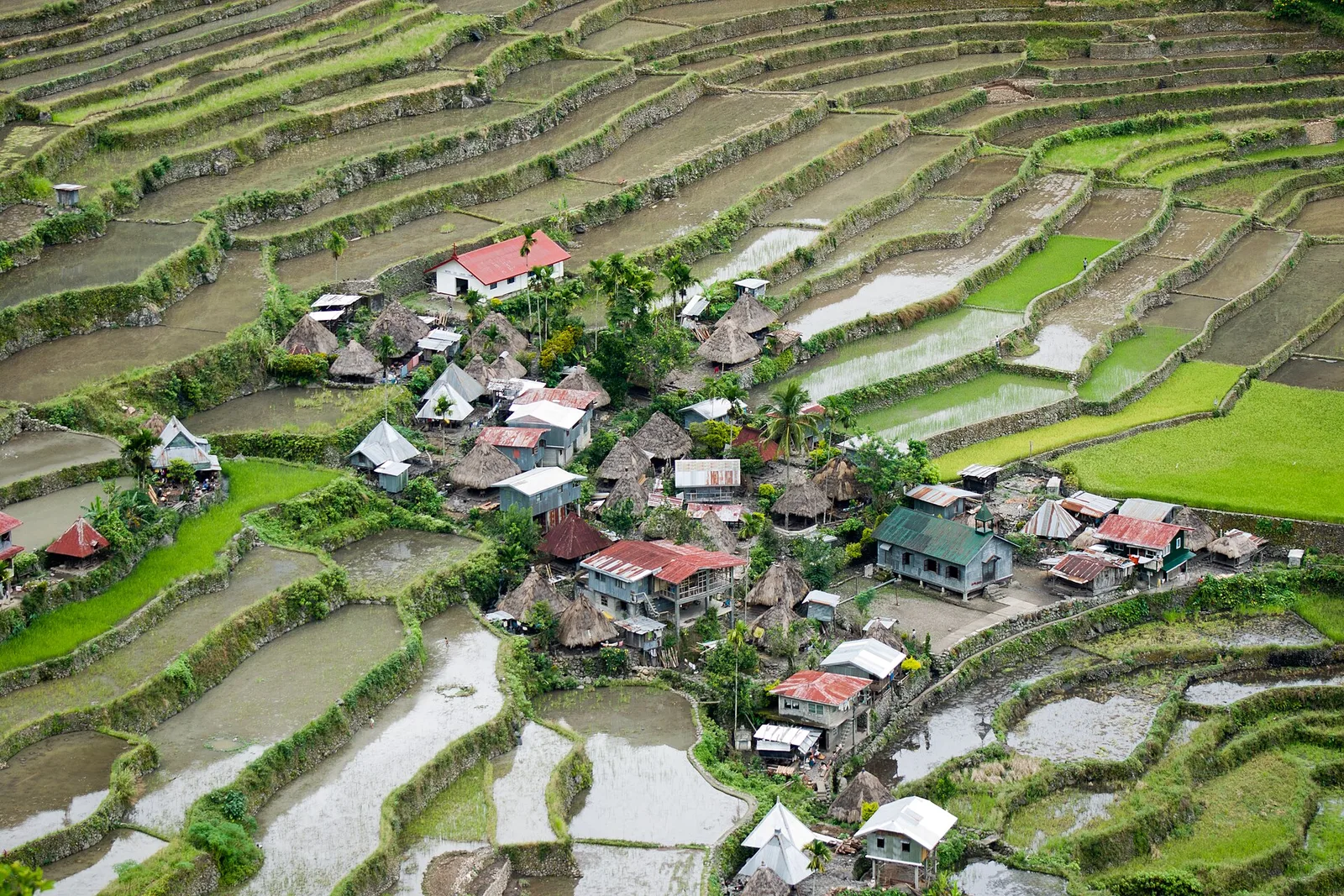 Banaue in 3 days, photo 3