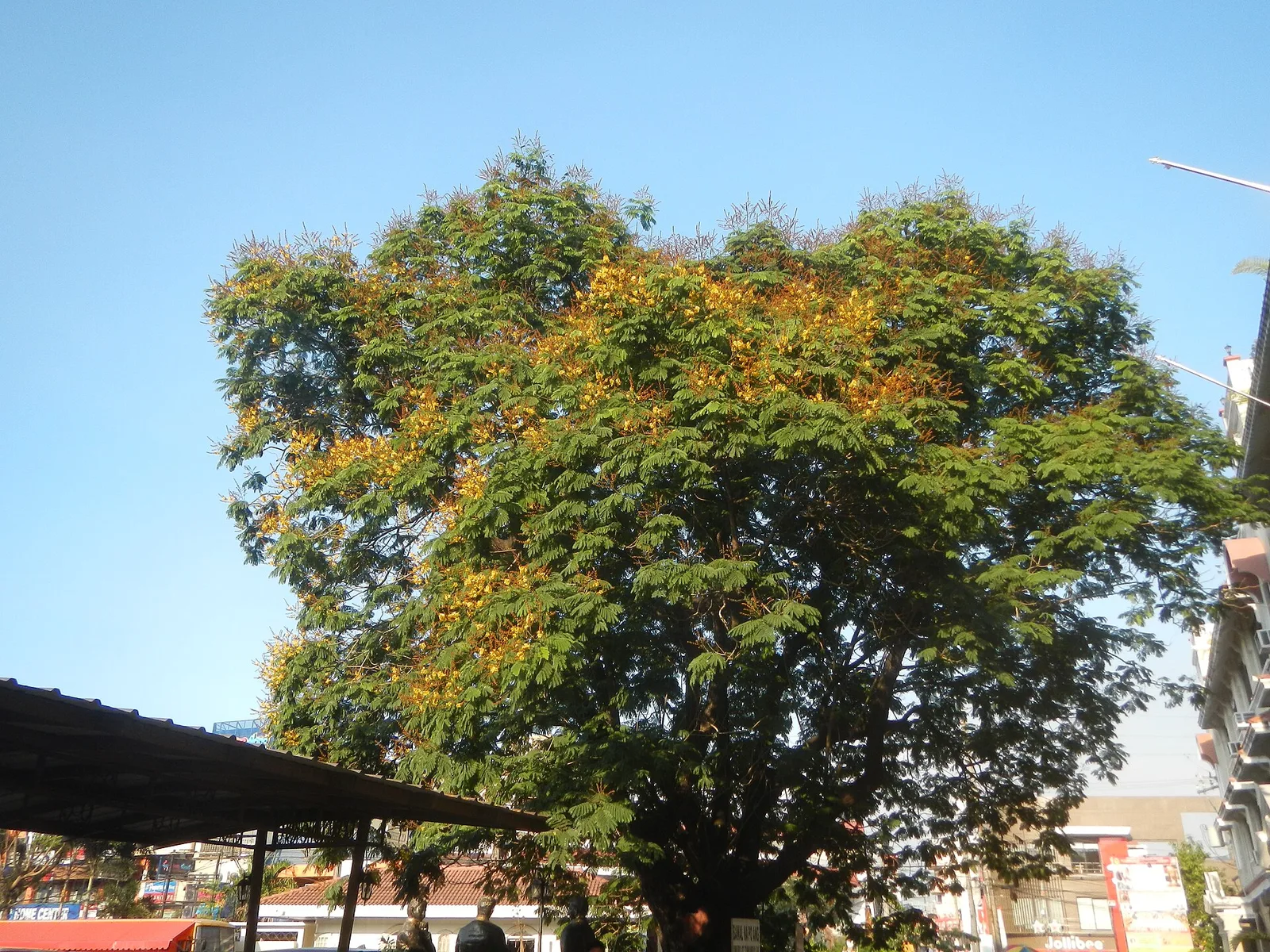 Malolos City in 3 days, photo 6