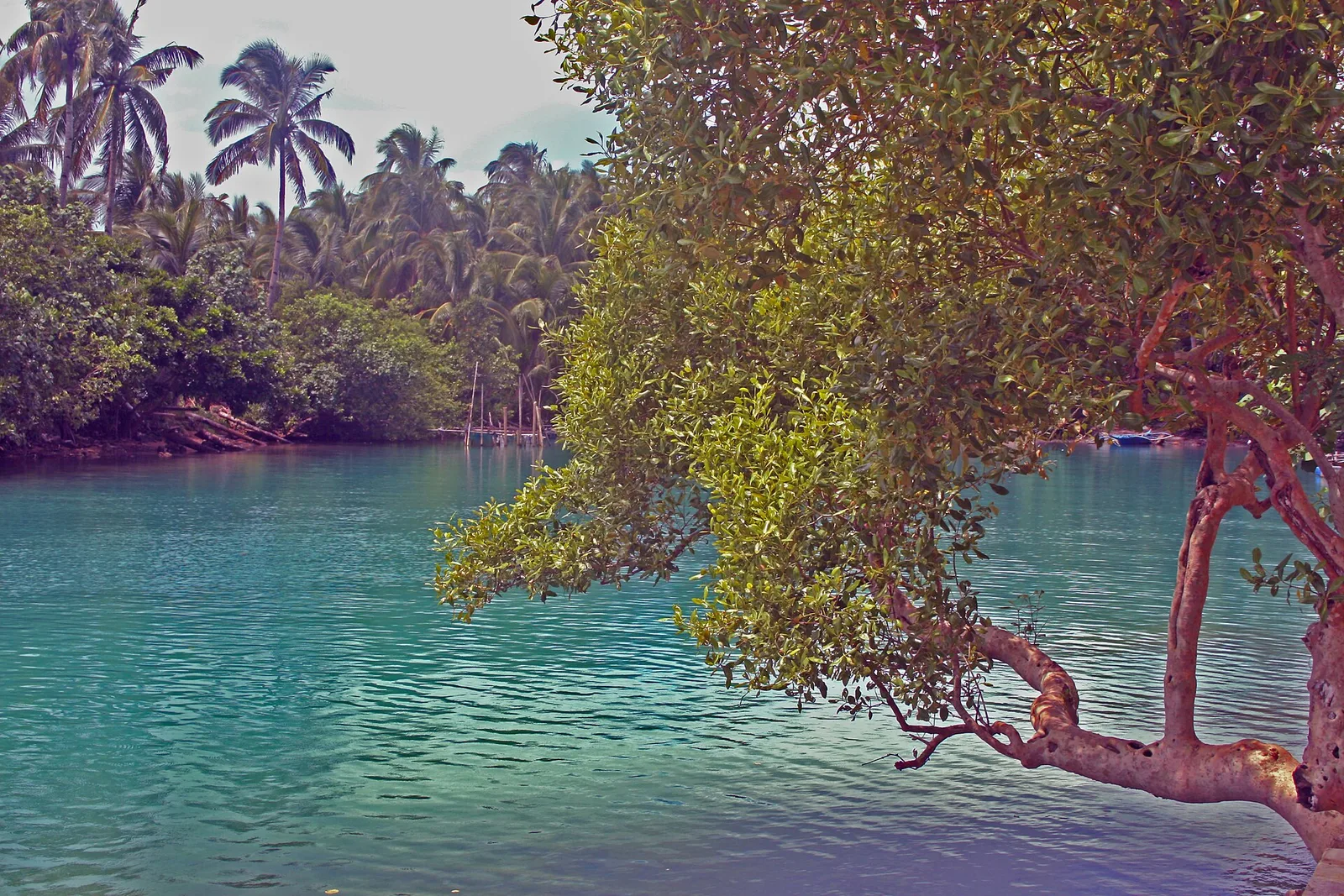Guiuan in 3 days, photo 2